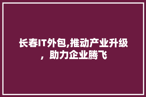 长春IT外包,推动产业升级，助力企业腾飞 搜狗SEO