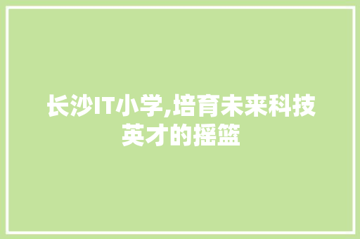 长沙IT小学,培育未来科技英才的摇篮 百度SEO