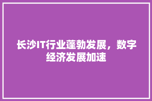 长沙IT行业蓬勃发展，数字经济发展加速