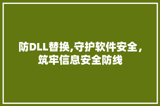 防DLL替换,守护软件安全，筑牢信息安全防线 必应SEO