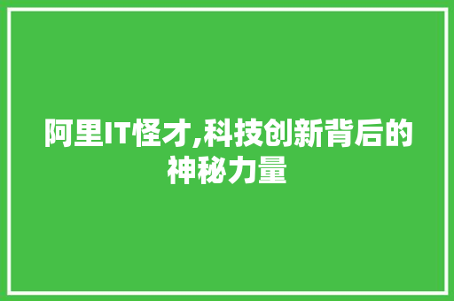 阿里IT怪才,科技创新背后的神秘力量 必应SEO
