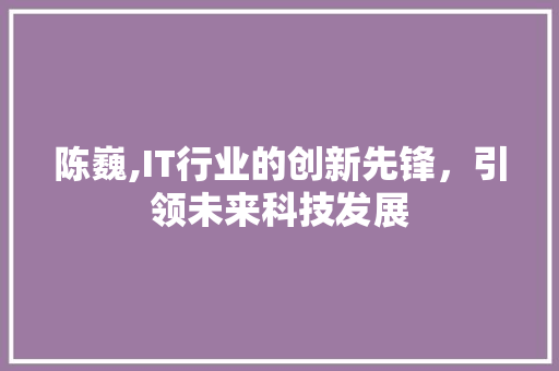 陈巍,IT行业的创新先锋，引领未来科技发展