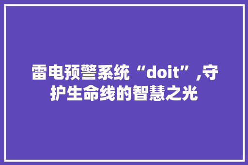 雷电预警系统“doit”,守护生命线的智慧之光