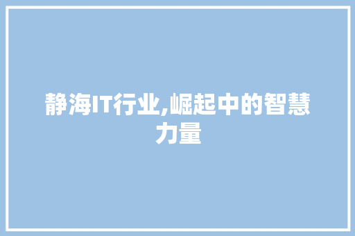 静海IT行业,崛起中的智慧力量 必应SEO