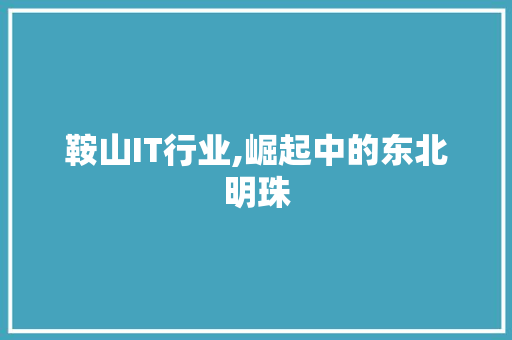 鞍山IT行业,崛起中的东北明珠