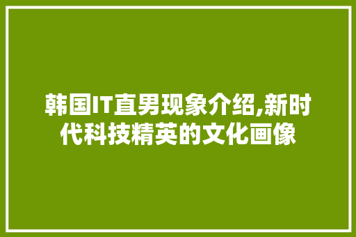 韩国IT直男现象介绍,新时代科技精英的文化画像