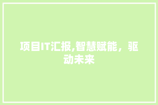 项目IT汇报,智慧赋能，驱动未来