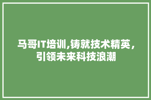 马哥IT培训,铸就技术精英，引领未来科技浪潮