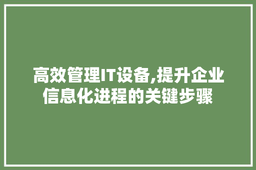高效管理IT设备,提升企业信息化进程的关键步骤