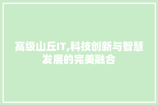 高级山丘IT,科技创新与智慧发展的完美融合 GoogleSEO