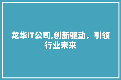 龙华IT公司,创新驱动，引领行业未来 百度SEO
