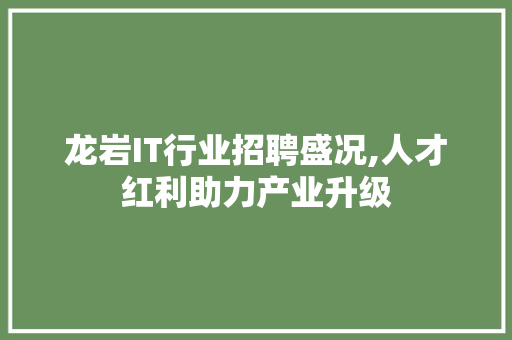 龙岩IT行业招聘盛况,人才红利助力产业升级
