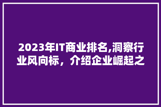 2023年IT商业排名,洞察行业风向标，介绍企业崛起之路
