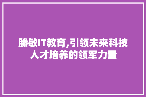 滕敏IT教育,引领未来科技人才培养的领军力量