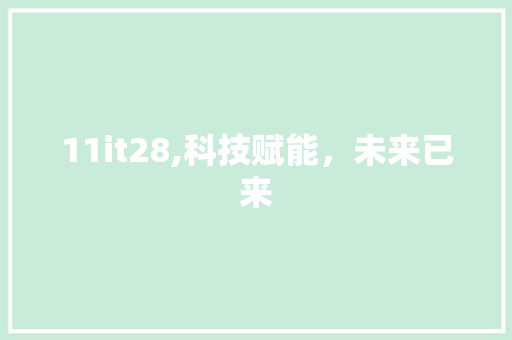 11it28,科技赋能，未来已来