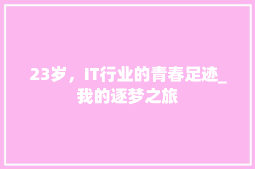 23岁，IT行业的青春足迹_我的逐梦之旅 百度SEO