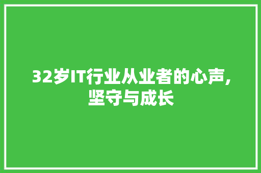 32岁IT行业从业者的心声,坚守与成长