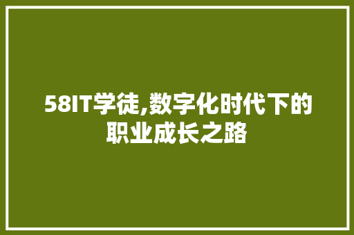 58IT学徒,数字化时代下的职业成长之路 百度SEO
