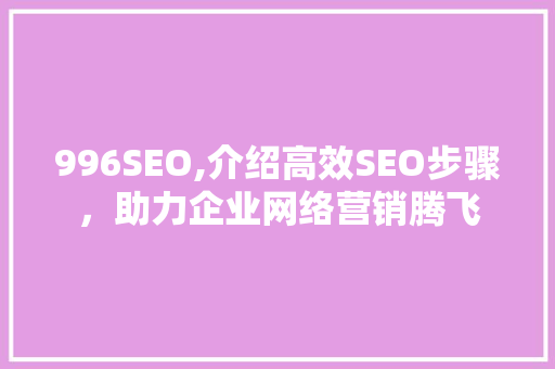 996SEO,介绍高效SEO步骤，助力企业网络营销腾飞