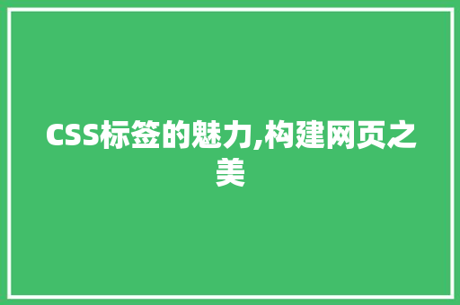 CSS标签的魅力,构建网页之美
