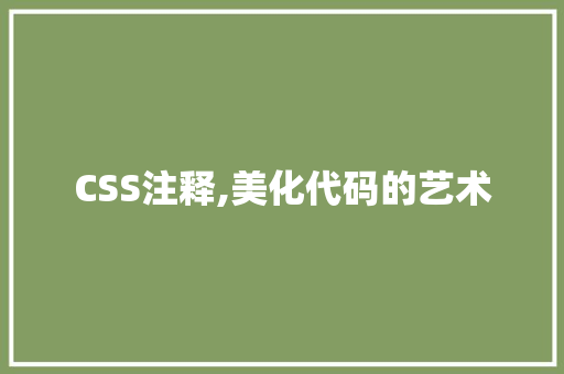 CSS注释,美化代码的艺术