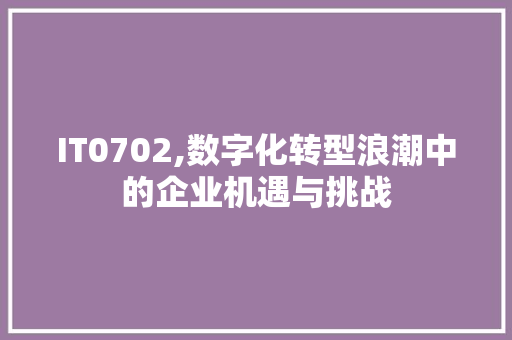 IT0702,数字化转型浪潮中的企业机遇与挑战