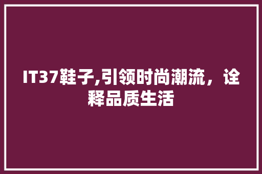IT37鞋子,引领时尚潮流，诠释品质生活 必应SEO