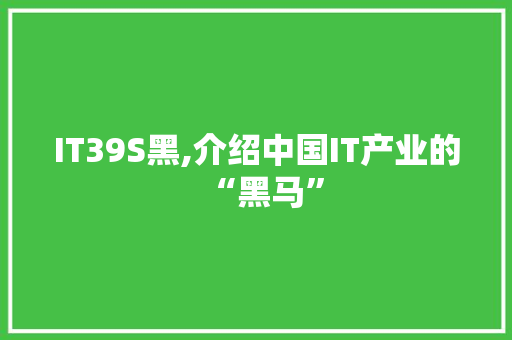 IT39S黑,介绍中国IT产业的“黑马” 必应SEO