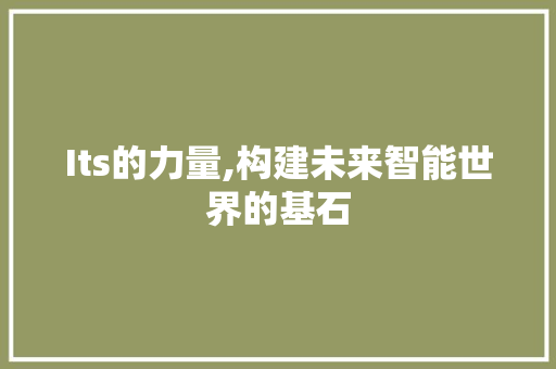 Its的力量,构建未来智能世界的基石
