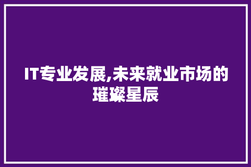 IT专业发展,未来就业市场的璀璨星辰 GoogleSEO