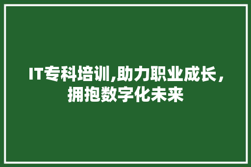 IT专科培训,助力职业成长，拥抱数字化未来 百度SEO