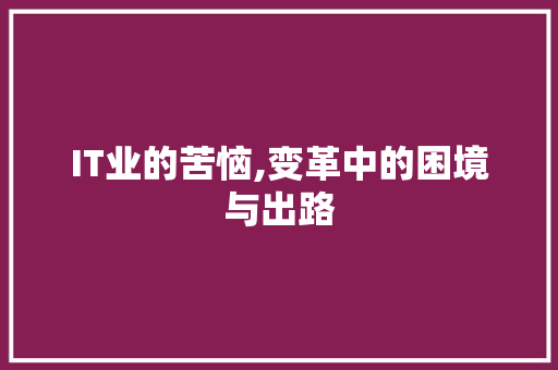 IT业的苦恼,变革中的困境与出路