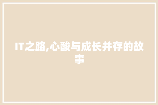 IT之路,心酸与成长并存的故事 百度SEO