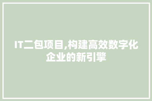 IT二包项目,构建高效数字化企业的新引擎 搜狗SEO