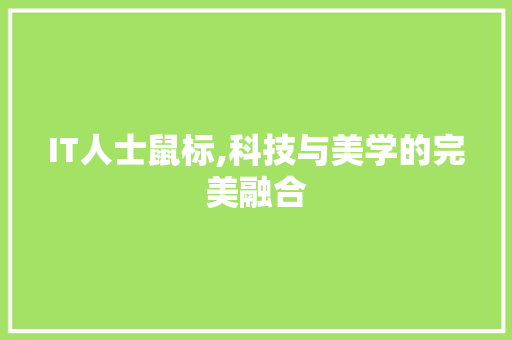 IT人士鼠标,科技与美学的完美融合 搜狗SEO
