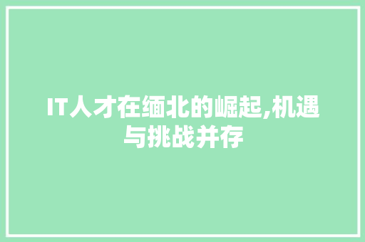 IT人才在缅北的崛起,机遇与挑战并存