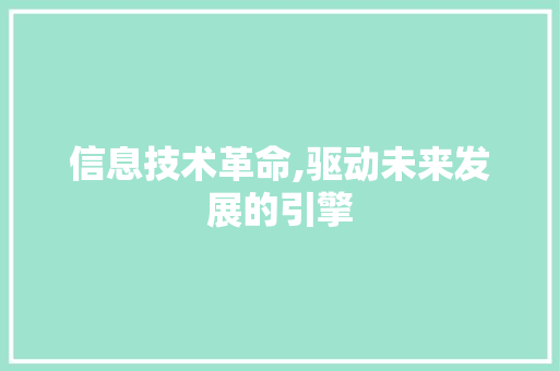 信息技术革命,驱动未来发展的引擎