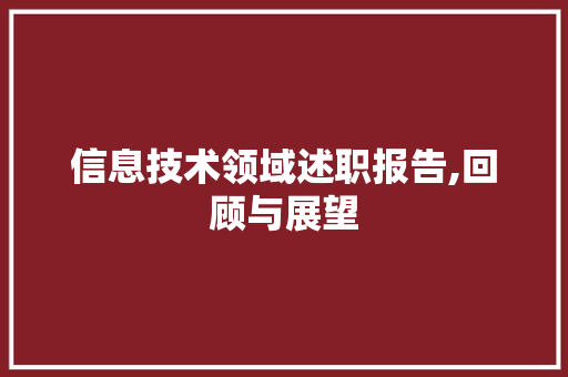信息技术领域述职报告,回顾与展望