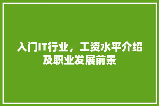 入门IT行业，工资水平介绍及职业发展前景
