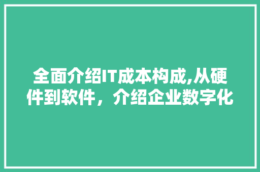 全面介绍IT成本构成,从硬件到软件，介绍企业数字化转型背后的经济账