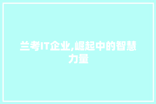兰考IT企业,崛起中的智慧力量