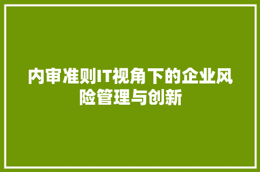 内审准则IT视角下的企业风险管理与创新 必应SEO