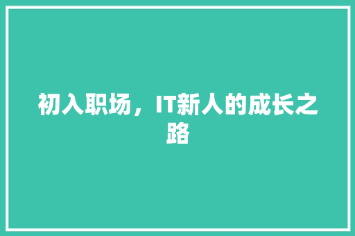 初入职场，IT新人的成长之路