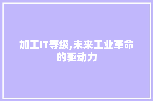 加工IT等级,未来工业革命的驱动力 必应SEO