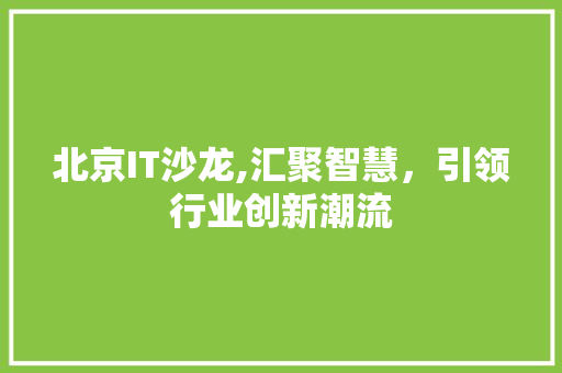 北京IT沙龙,汇聚智慧，引领行业创新潮流