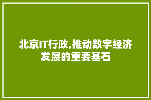 北京IT行政,推动数字经济发展的重要基石