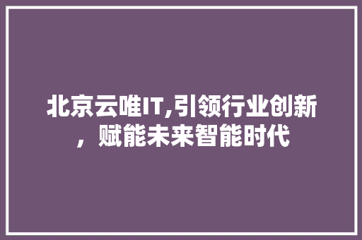 北京云唯IT,引领行业创新，赋能未来智能时代