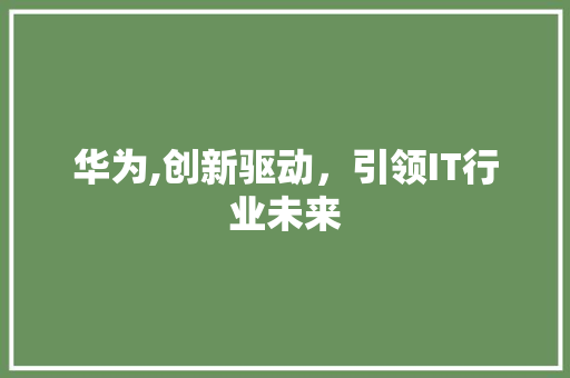 华为,创新驱动，引领IT行业未来