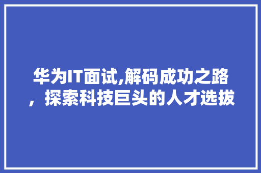 华为IT面试,解码成功之路，探索科技巨头的人才选拔奥秘