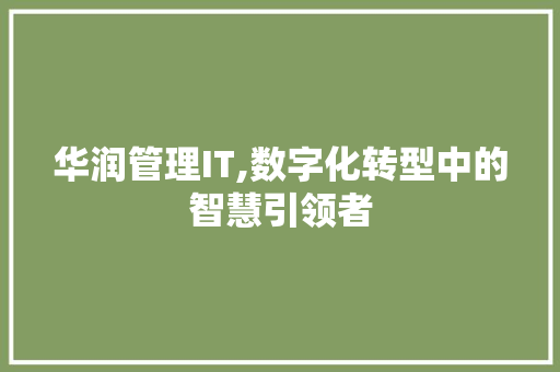 华润管理IT,数字化转型中的智慧引领者